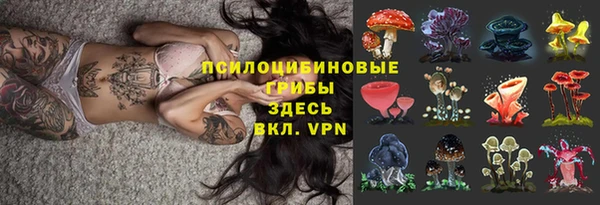 таблы Ладушкин