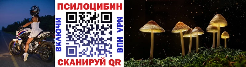 Псилоцибиновые грибы мицелий  Купить  Алексеевка 