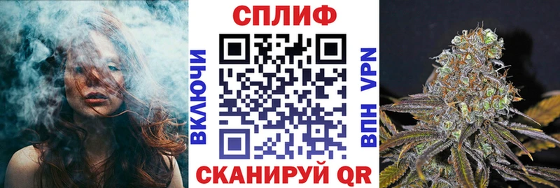 Шишки марихуана марихуана Алексеевка